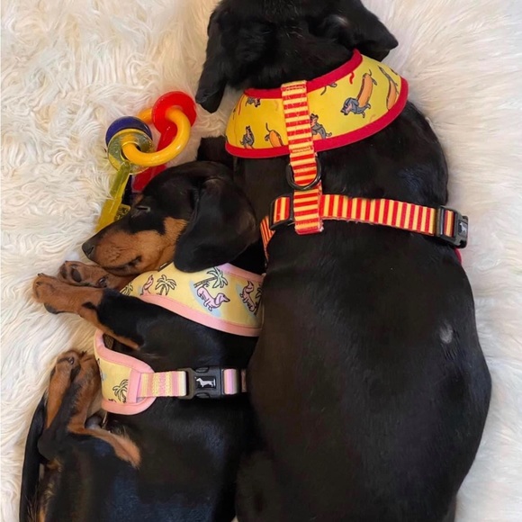 Meet your Posher, Beth - Picture 4 of 4